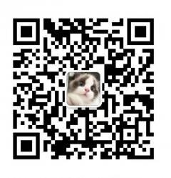 每天猫粮猫砂优惠卷
