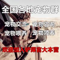 各地宠物群