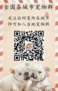 各地宠物群二维码