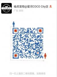 深圳龙华宠物群二维码
