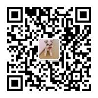宠物领养群，沟通群二维码