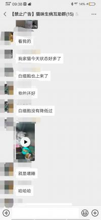 猫咪生病互助沟通二维码