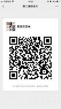 爱宠沟通★