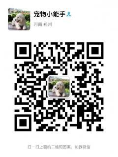 狗狗喂养沟通群二维码