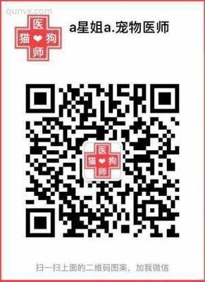 领养狗狗群