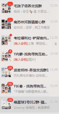 宠物训练领养救助义诊沟通