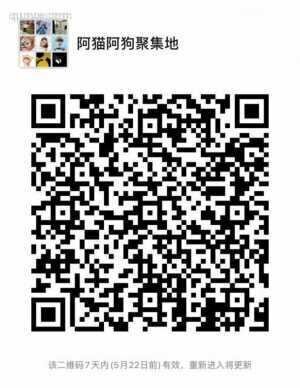 阿猫阿狗聚集地二维码