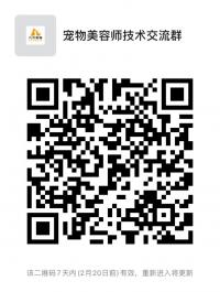 宠物美容师技术沟通群