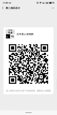 爱心宠物领养群