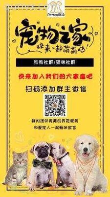 边牧沟通分享群二维码