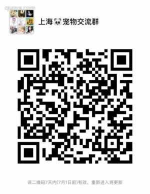 上海宠物沟通群二维码