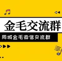 2019年本地金毛微信沟通群