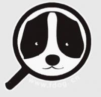 成都寻狗群