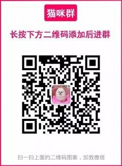 猫咪微信群猫咪群二维码