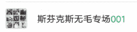 斯芬克斯无毛猫专场001