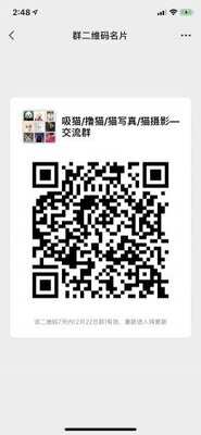 猫友—沟通群二维码