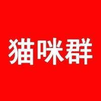 猫咪微信群猫咪群