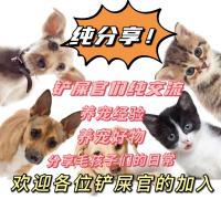 江西爱宠Family