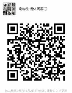 宠物群微信群二维码
