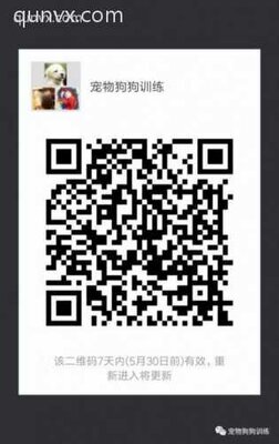 宠物狗狗训练沟通群二维码