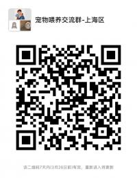 宠物喂养沟通群-上海区