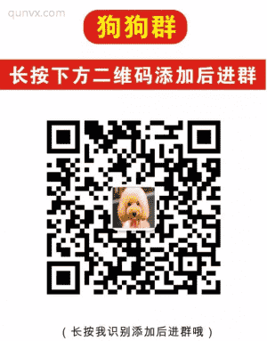 狗狗微信群二维码