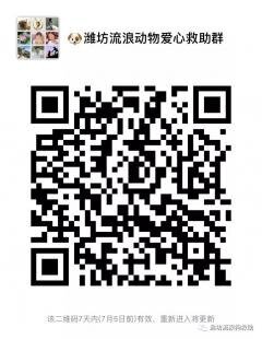 潍坊流浪动物爱心救助群二维码