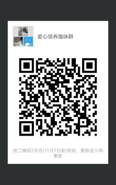 爱心领养猫咪群二维码