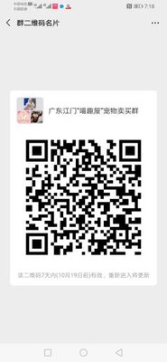 广东江门“喵趣屋”宠物沟通群二维码