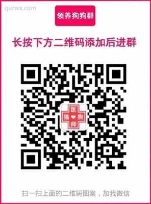 领养狗狗群二维码
