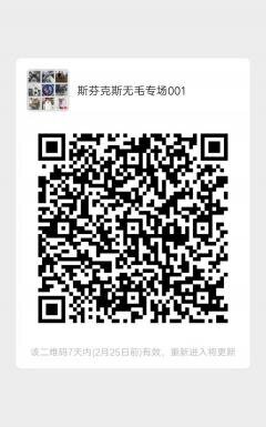 斯芬克斯无毛猫专场001二维码