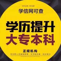 学历教育咨询群组