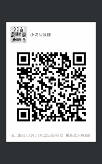 小说阅读群