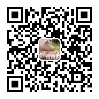 养猪户沟通群二维码