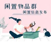 闲置物品群