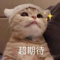 初中网校课程分享群
