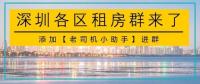 深圳出租房群