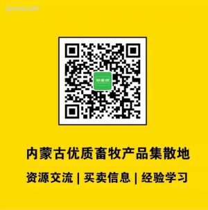 牛羊肉特产生意群