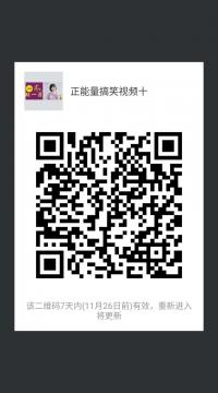正能量搞笑视频群