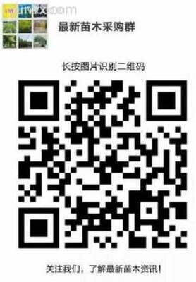 华东地区苗木供求群二维码