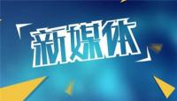 新媒体品牌群