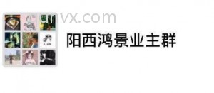 阳西鸿景业主群头像