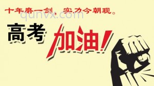 伟伟说高考群