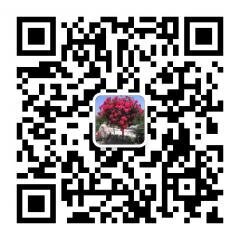 文化教育旅游沟通群二维码
