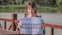 学历专本提升