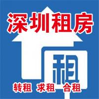 深圳租房转租求租群