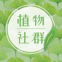 100个·植物垂直领域沟通群