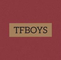 《TFBOYS沟通群》