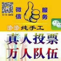 微信投票  十大品牌投票 专业二维码