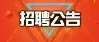 灌南求职者群